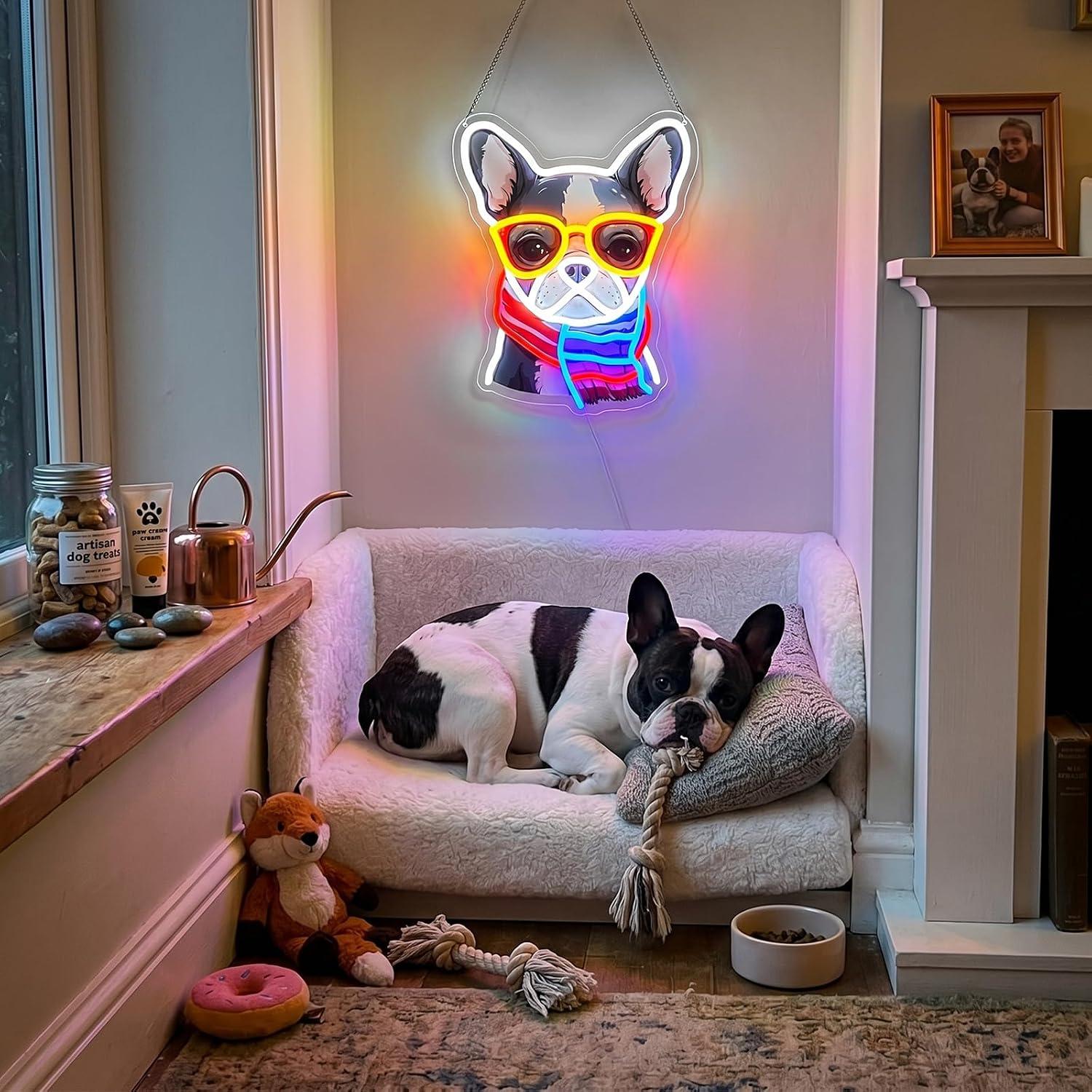 Lampu Neon LED French Bulldog  - Men'S Grooming Dc ulasan dan harga